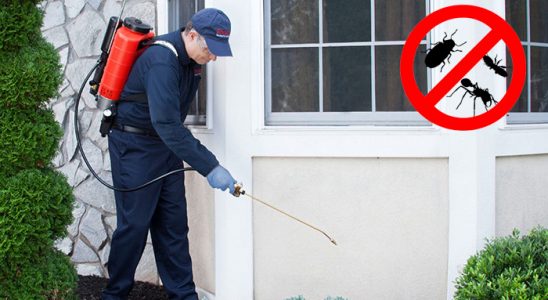 Dargeçit Kene İlaçlama böcek ilaçlama ve haşere kontrolü — ilaclama-tr.com